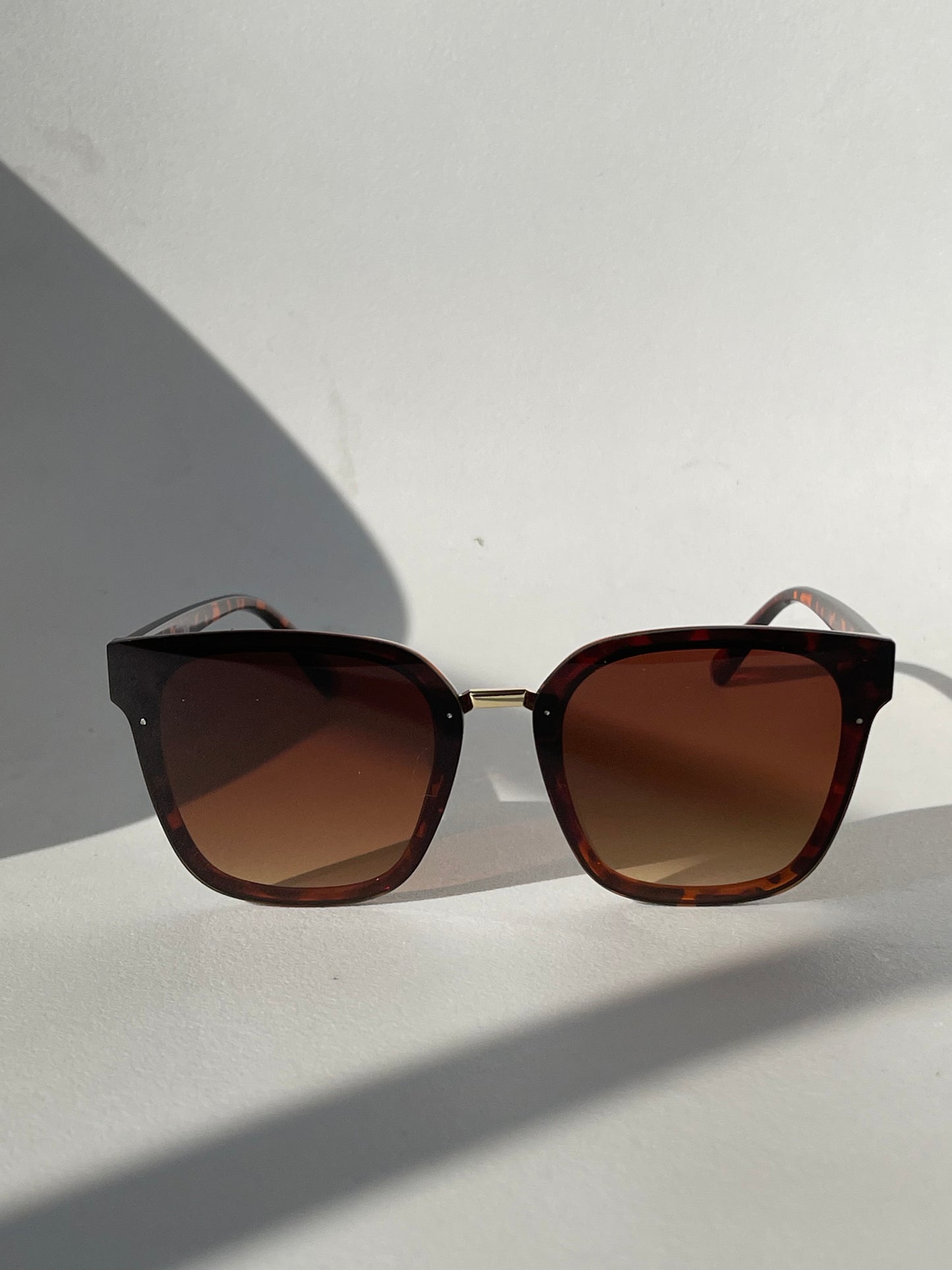 Connor Gold Rim Silver Double Stud Sunglasses In Tortoise