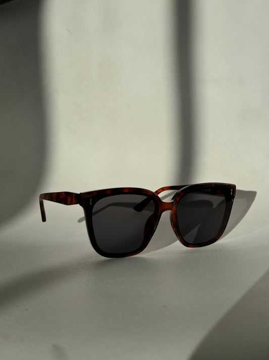 Barbell Stud Sunglasses In Tortoise
