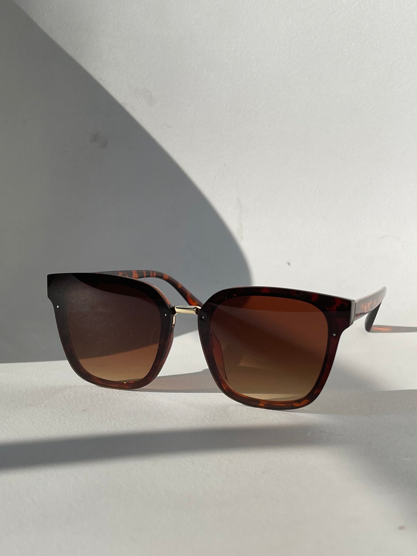 Connor Gold Rim Silver Double Stud Sunglasses In Tortoise