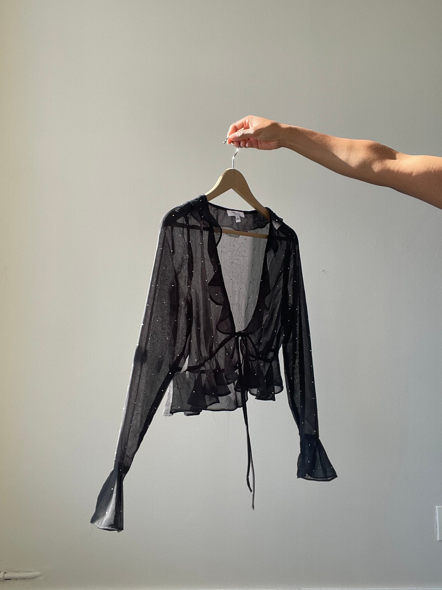 Haltom Lucky Stars Ruffle Sheer Crop Top In Black & Silver