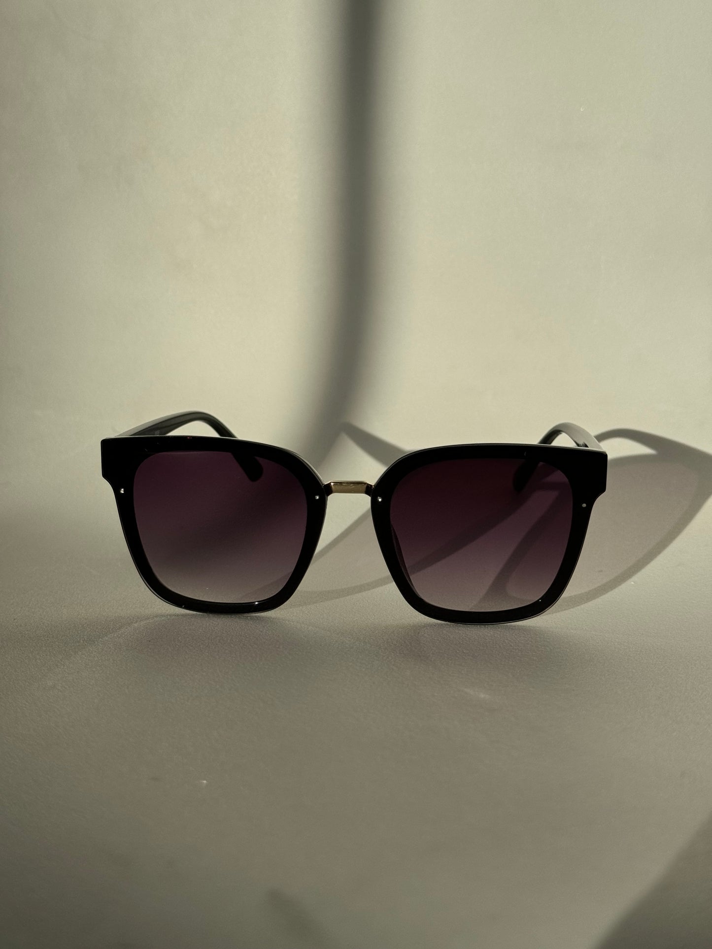 Kayla Sunglasses In Black Hombre