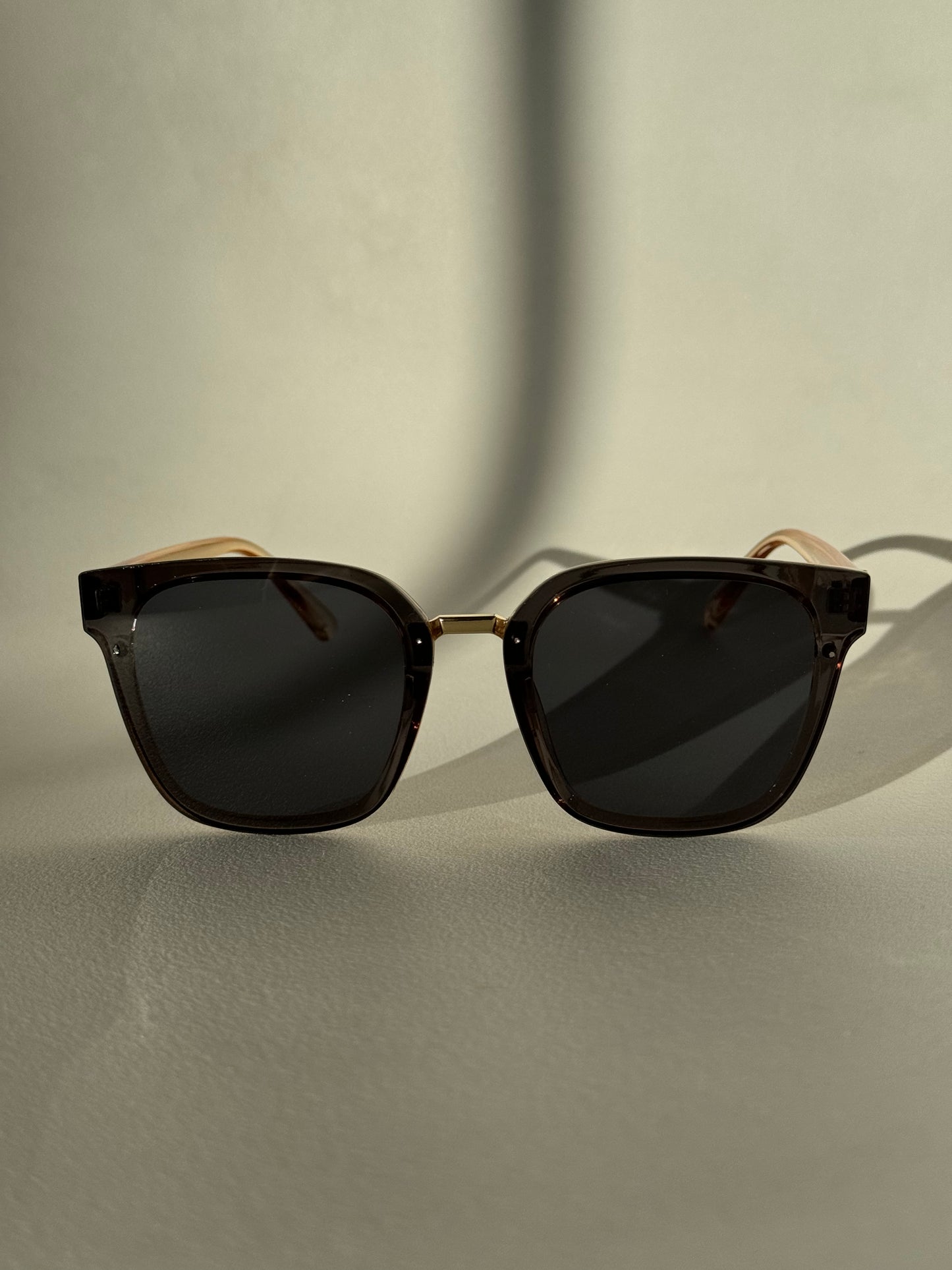 Kayla Sunglasses In Black Tangerine