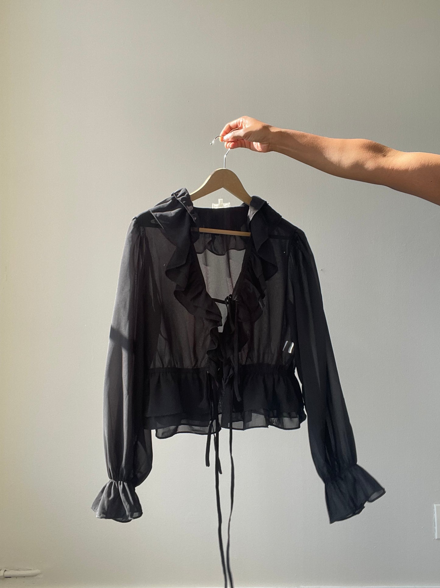 Carly Ruffle Sheer Balloon Sleeve Top In Black