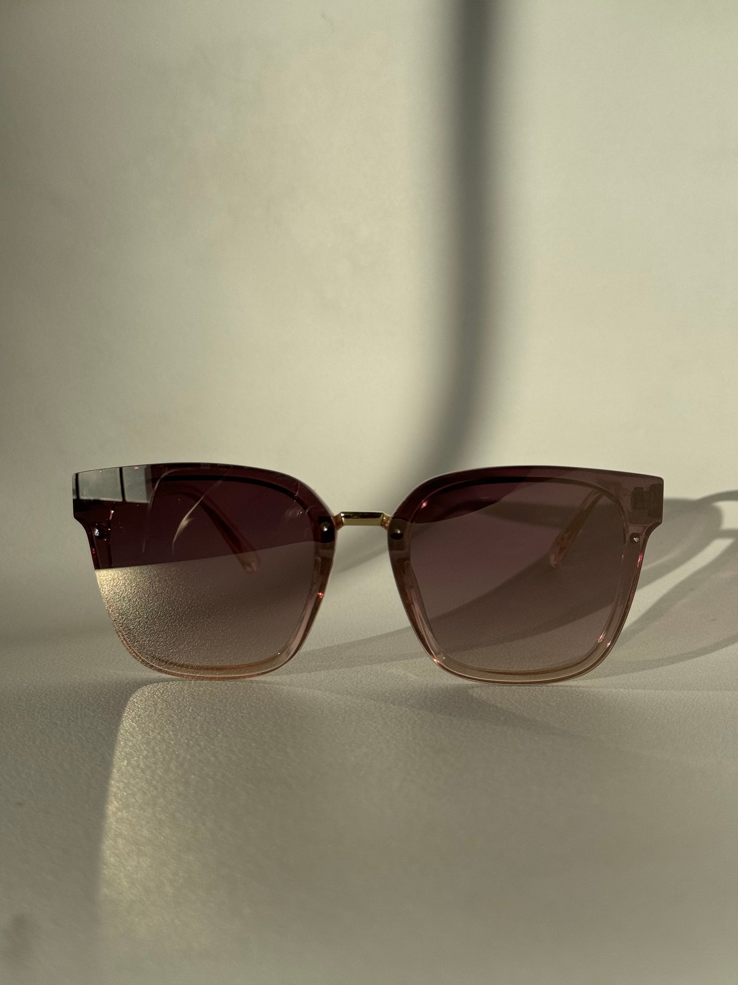 Kayla Sunglasses In Blush