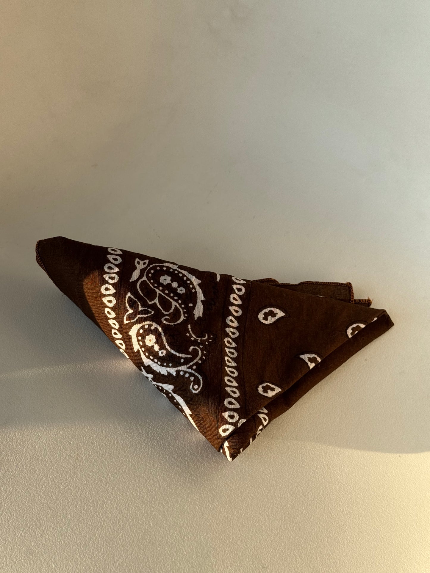 Garret Classic Cotton Bandana In Chocolate