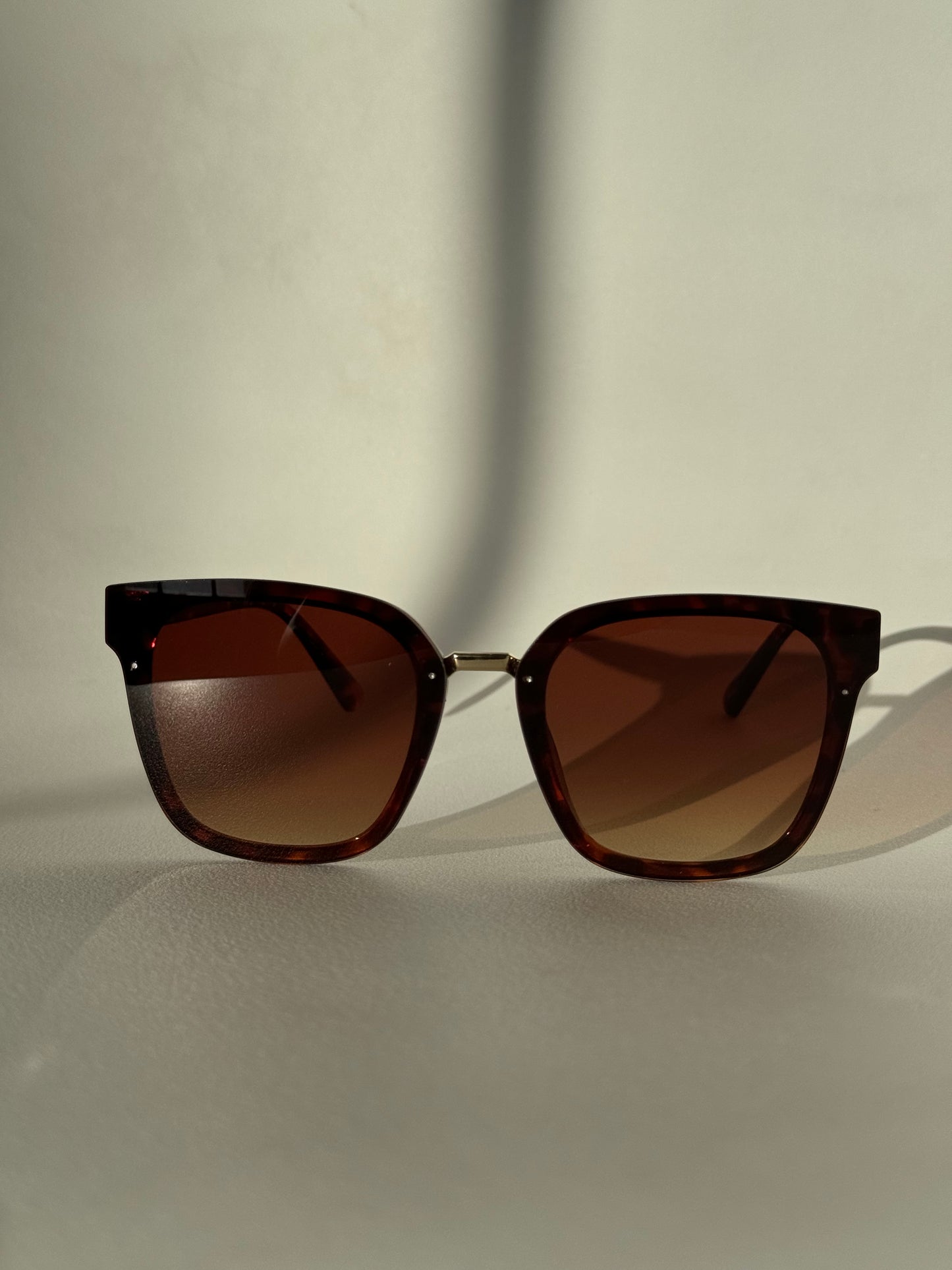 Kayla Sunglasses In Tortoise