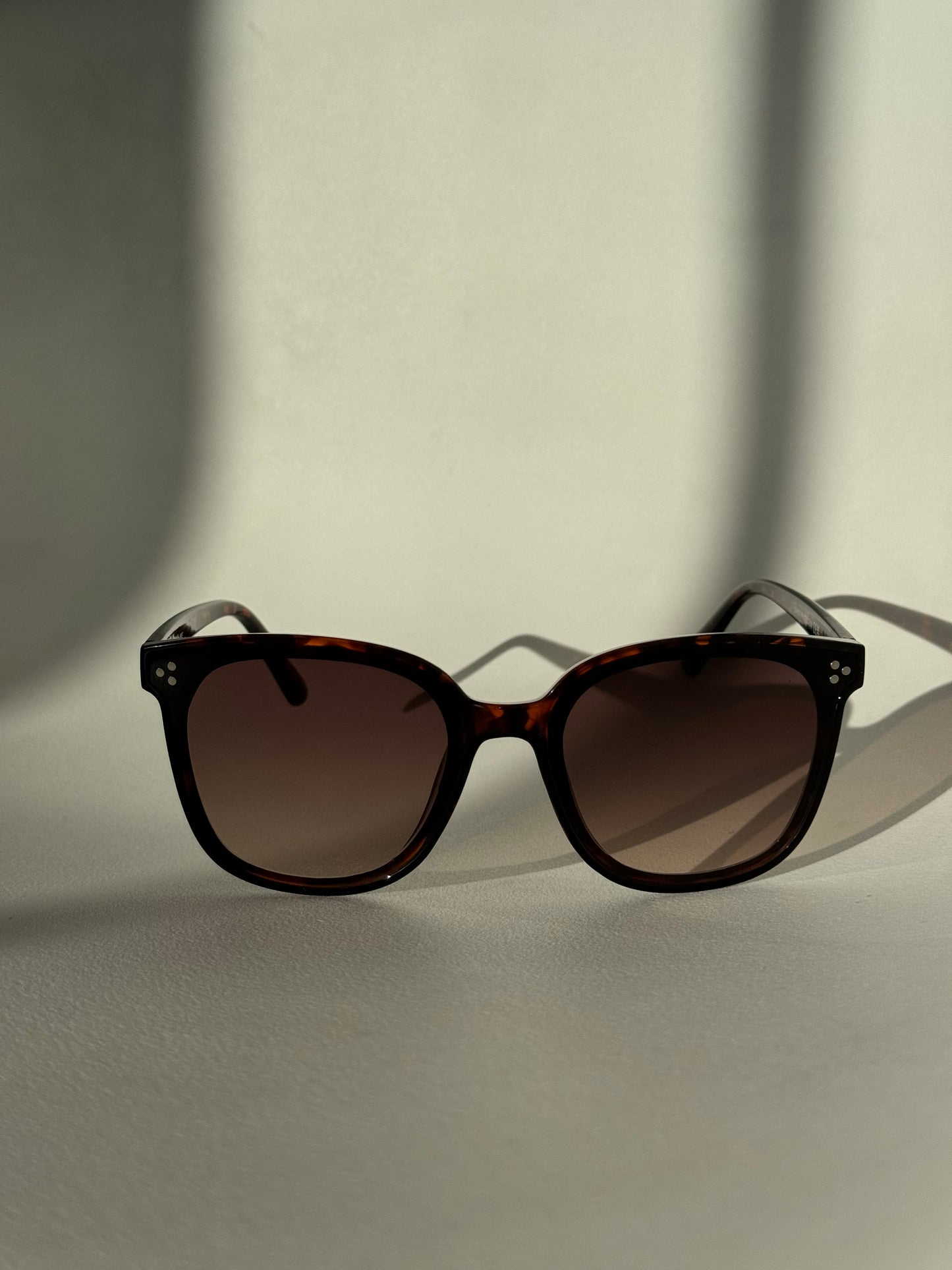 Dave Tri Stud Classic Sunglasses In Tortoise