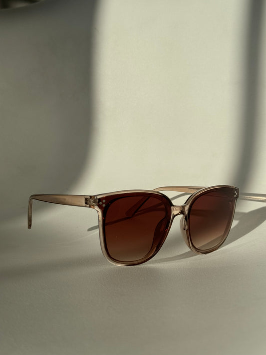 Dave Tri Stud Classic Sunglasses In Coffee