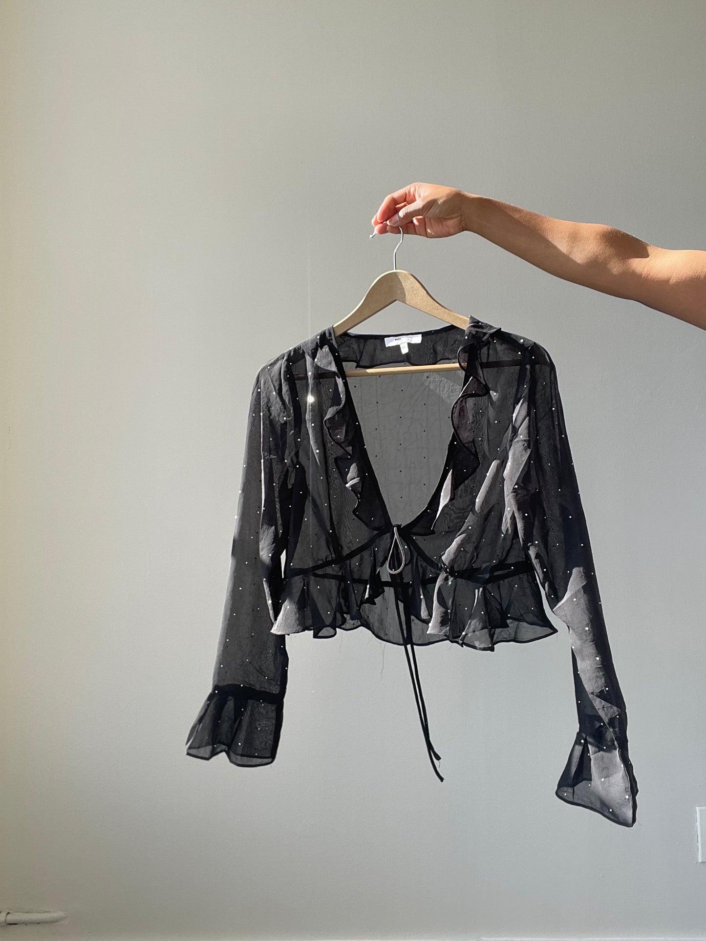 Haltom Lucky Stars Ruffle Sheer Crop Top In Black & Silver