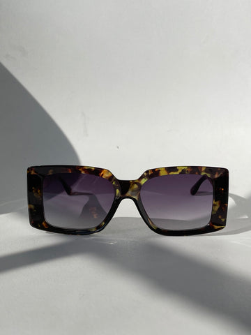 Celine Classic Square Sunglasses In Green Tortoise