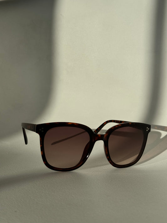 Dave Tri Stud Classic Sunglasses In Tortoise
