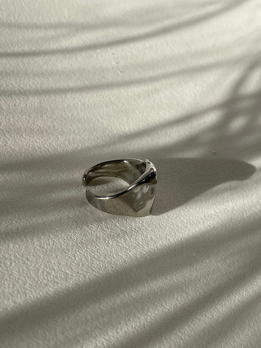 Colin Organic Stainless Steel Ring In Silver