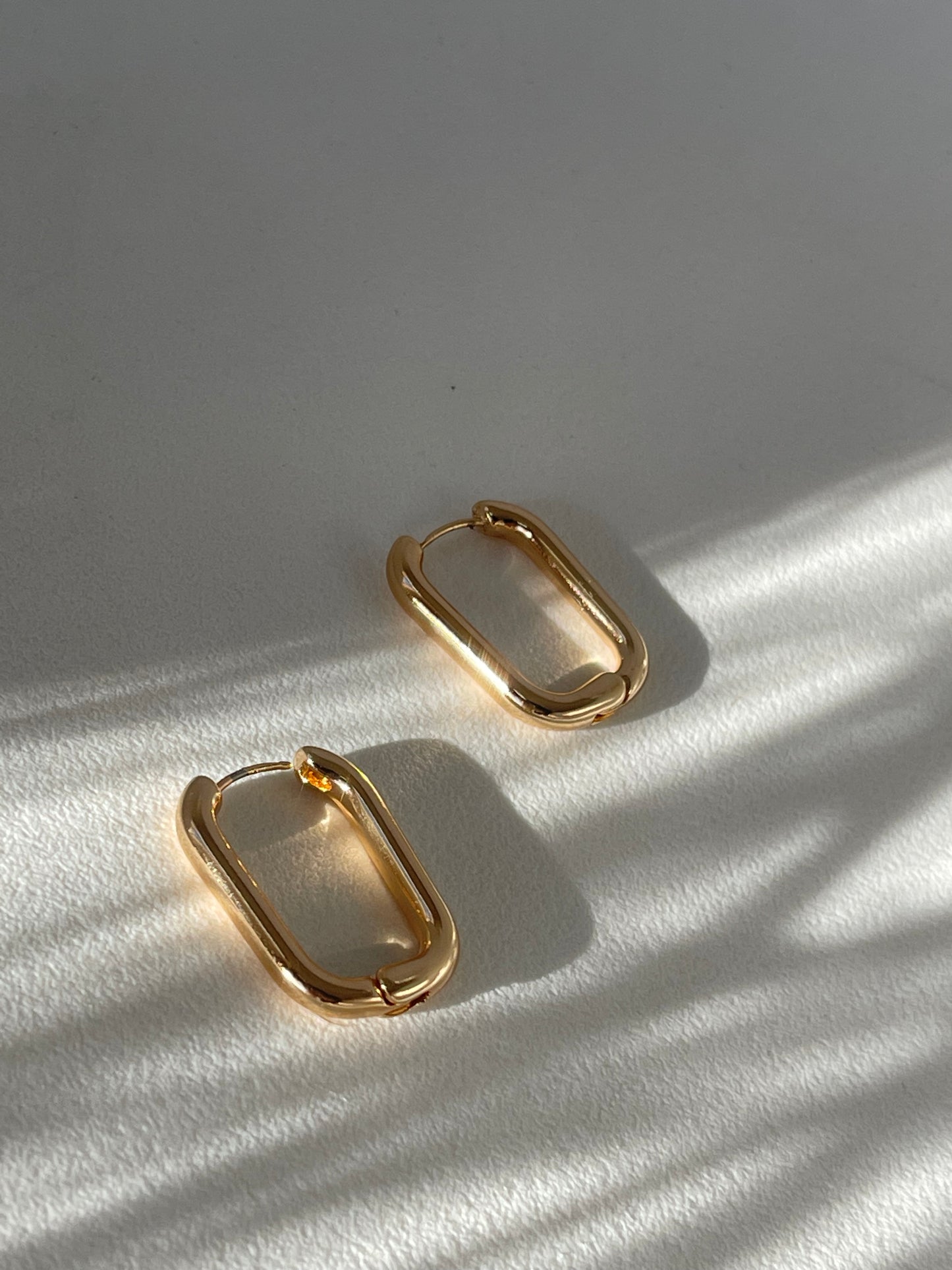 Shan Stainless Steel Classic Hoop Earring In Gold