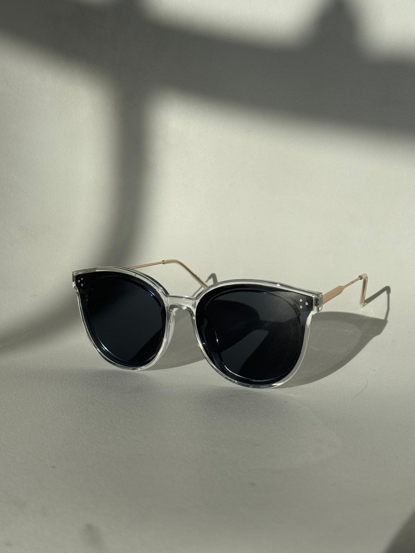 Priscilla Tri Stud Sunglasses In Clear