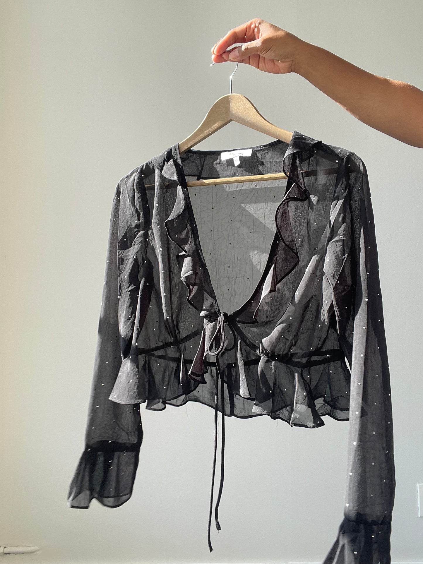 Haltom Lucky Stars Ruffle Sheer Crop Top In Black & Silver