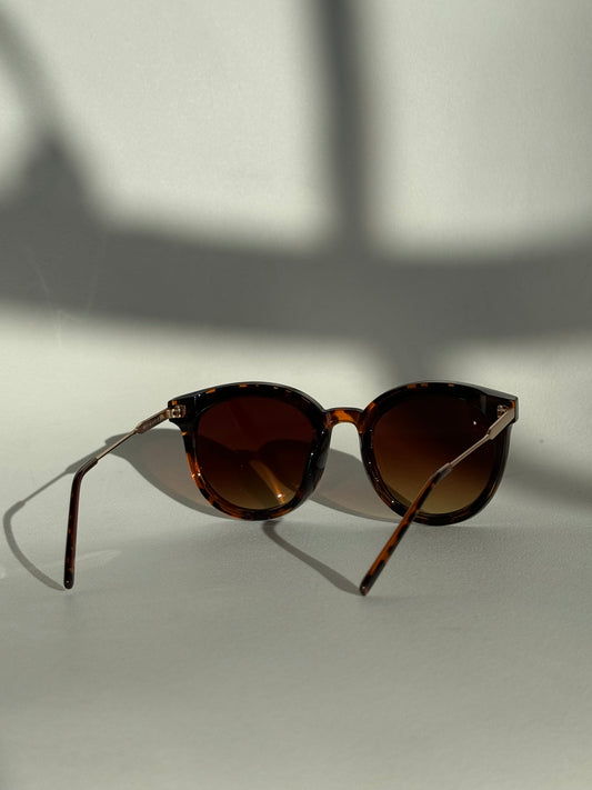 Priscilla Tri Sunglasses In Tortoise