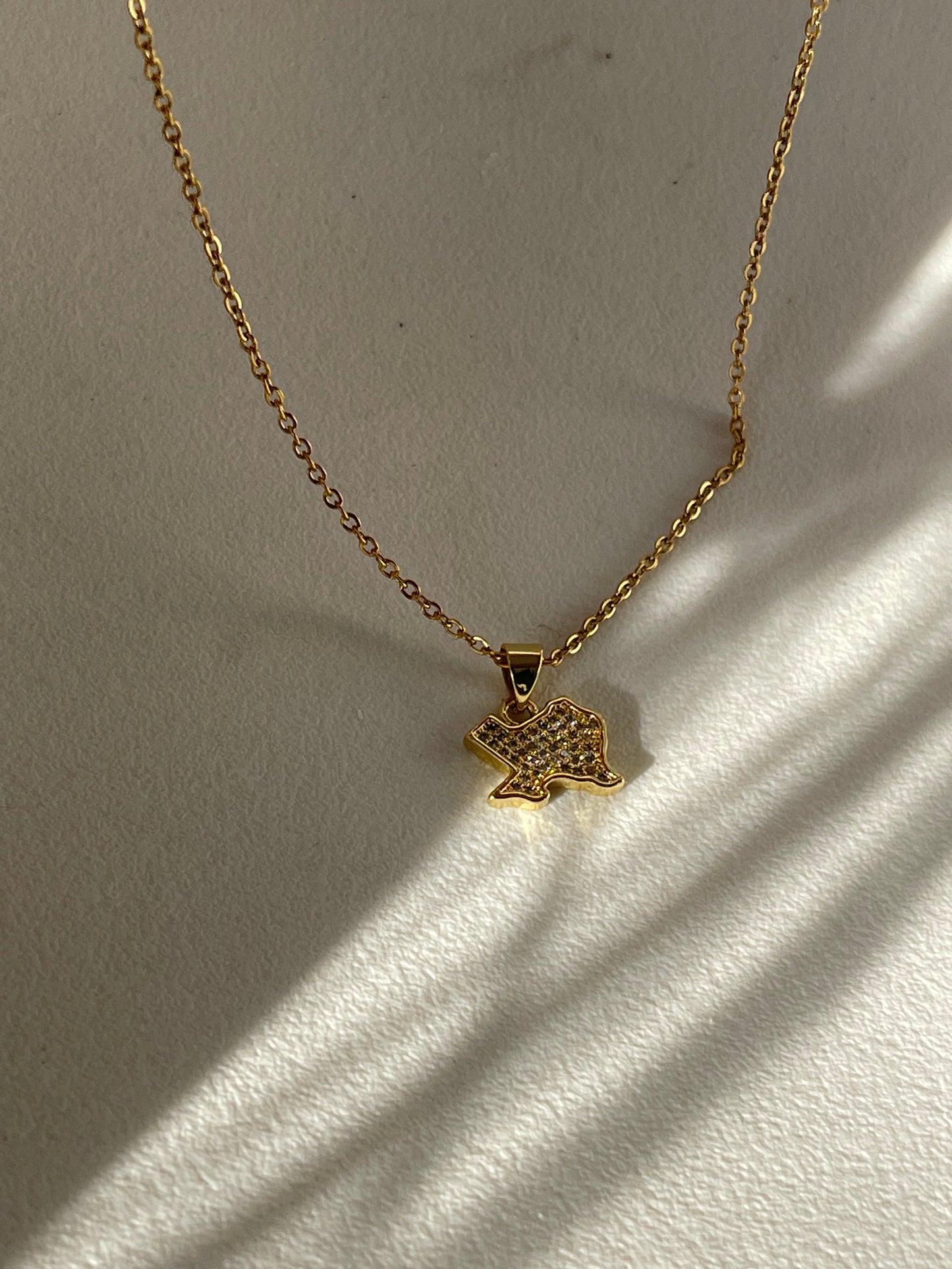 Crystal Stainless Steel Texas Charm Necklace In Gold