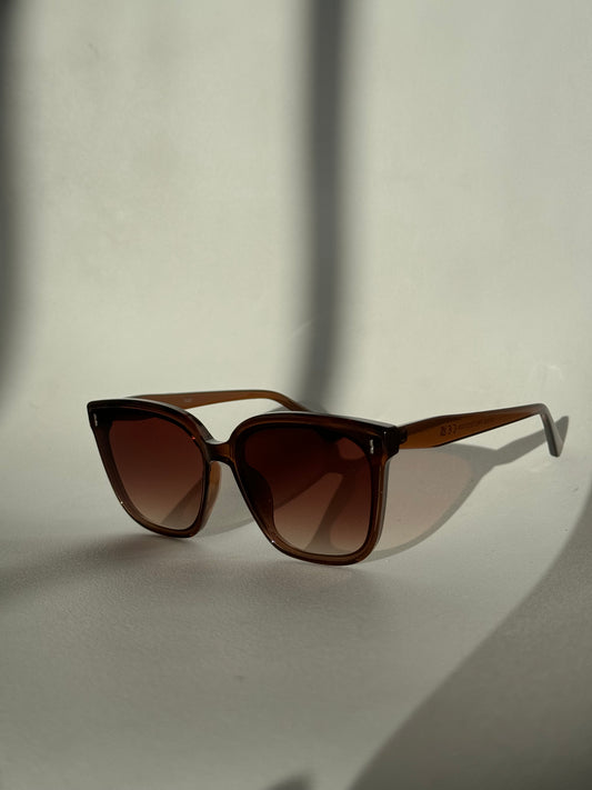 Barbell Sunglasses In Brown