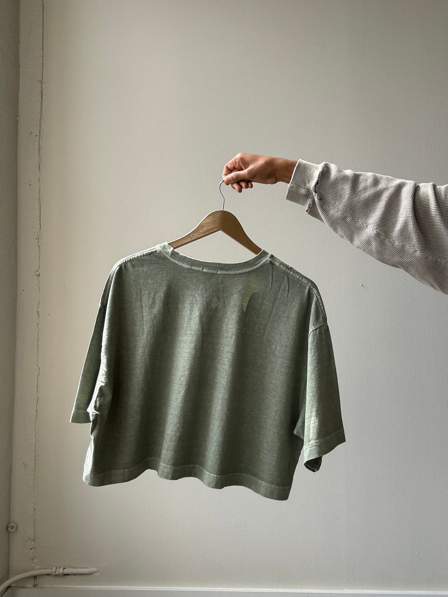 Billy Organic Cotton Cropped T Shirt In Sage