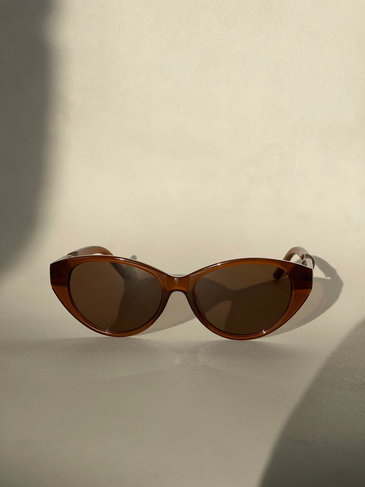 Sherry Twisted Retro Sunglasses In Brown