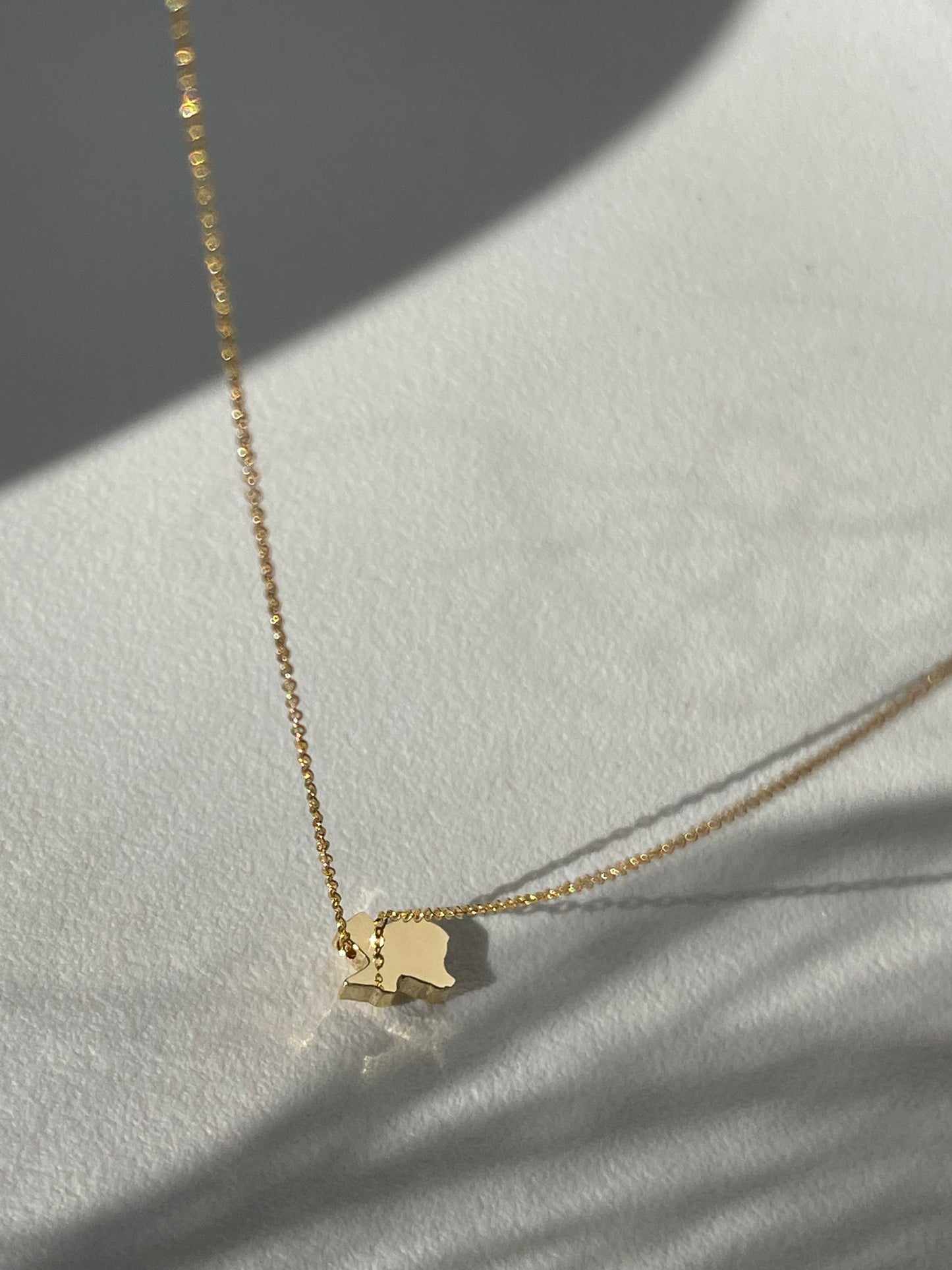 Maverick 14K Gold Dipped Texas Mini Mirror Statement Necklace In Gold