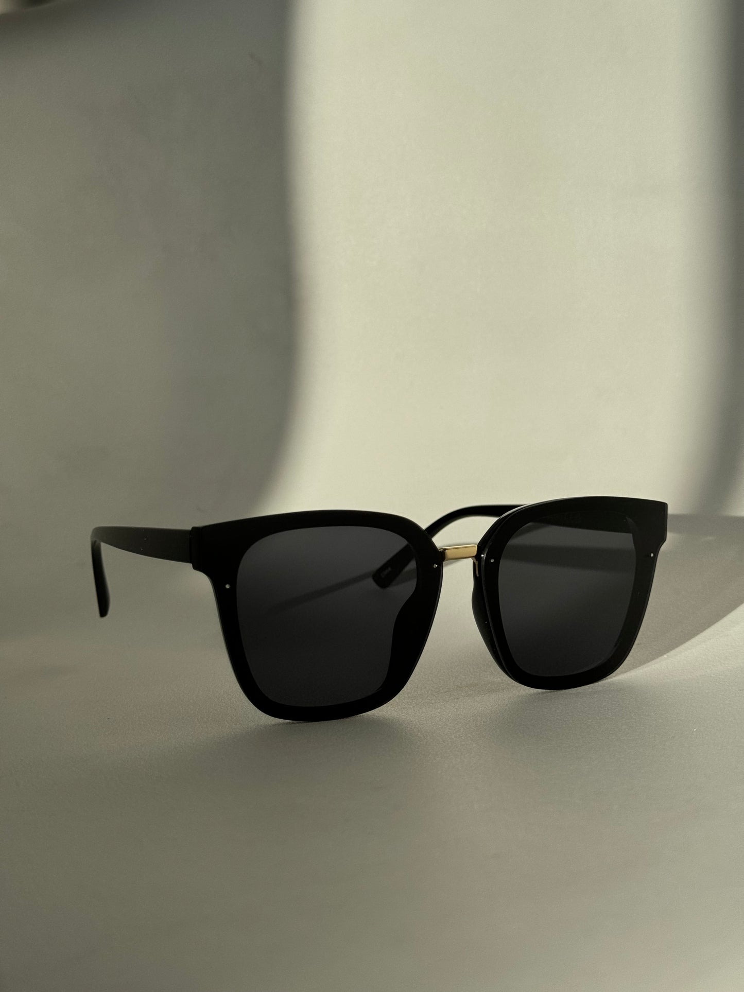 Kayla Sunglasses In Jet Black