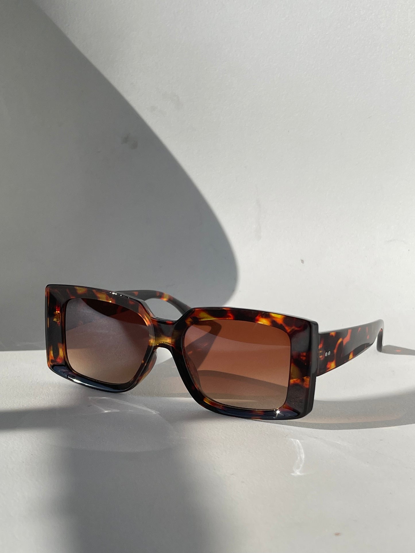 Celine Classic Square Sunglasses In Tortoise