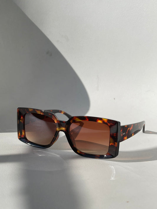 Celine Classic Square Sunglasses In Tortoise