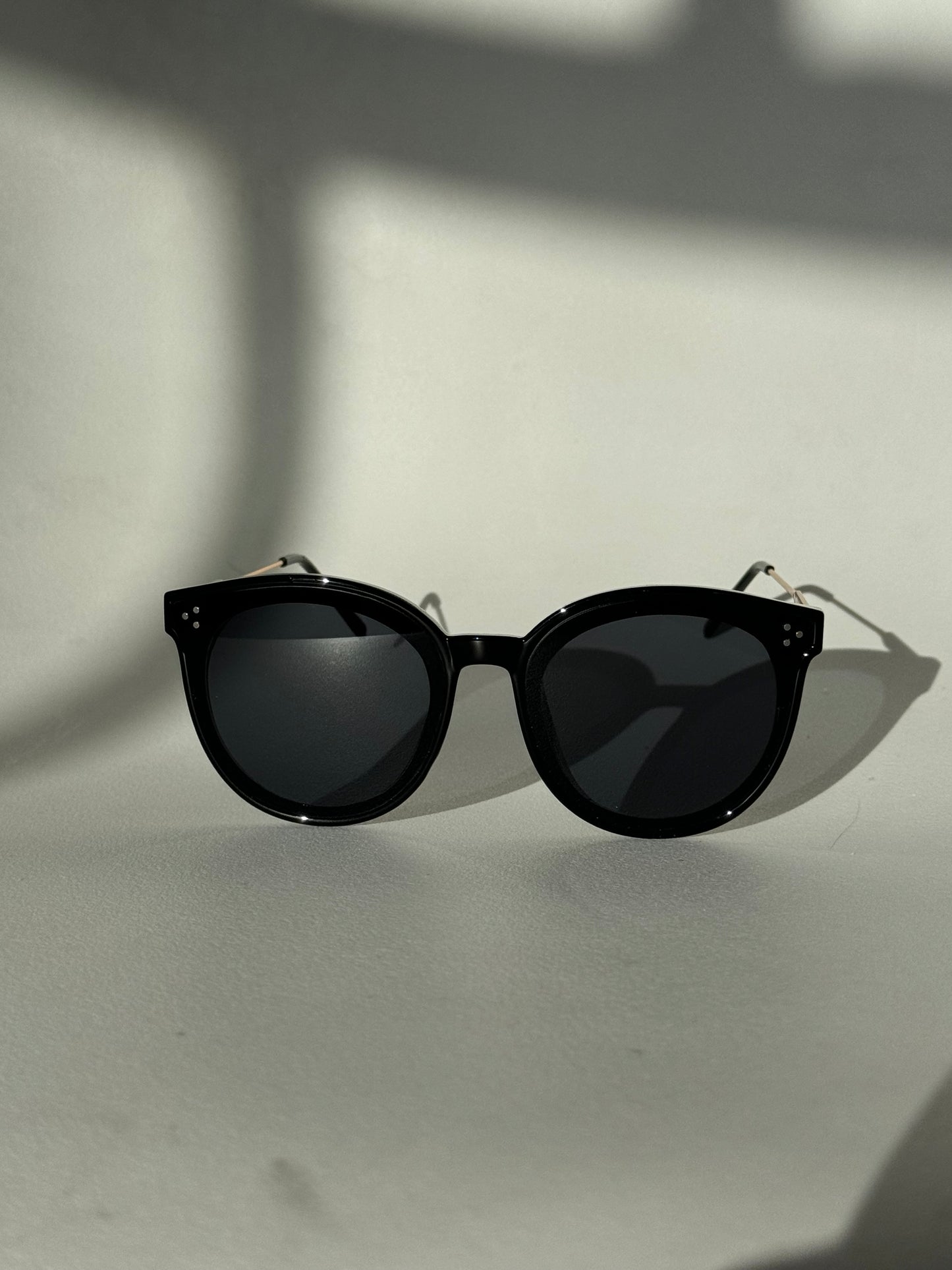 Priscilla Tri Stud Sunglasses In Black
