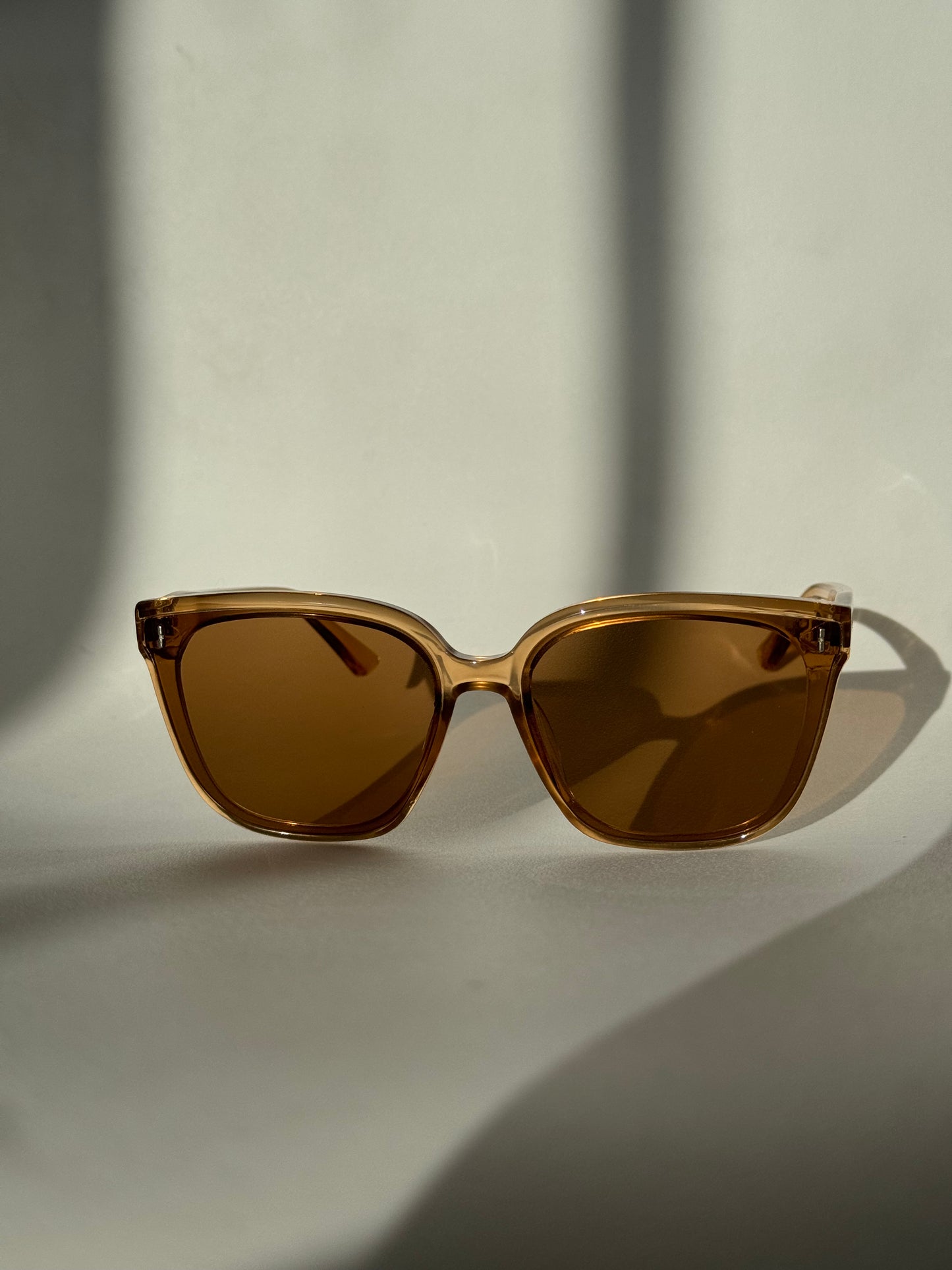 Barbell Stud Sunglasses In Tuape
