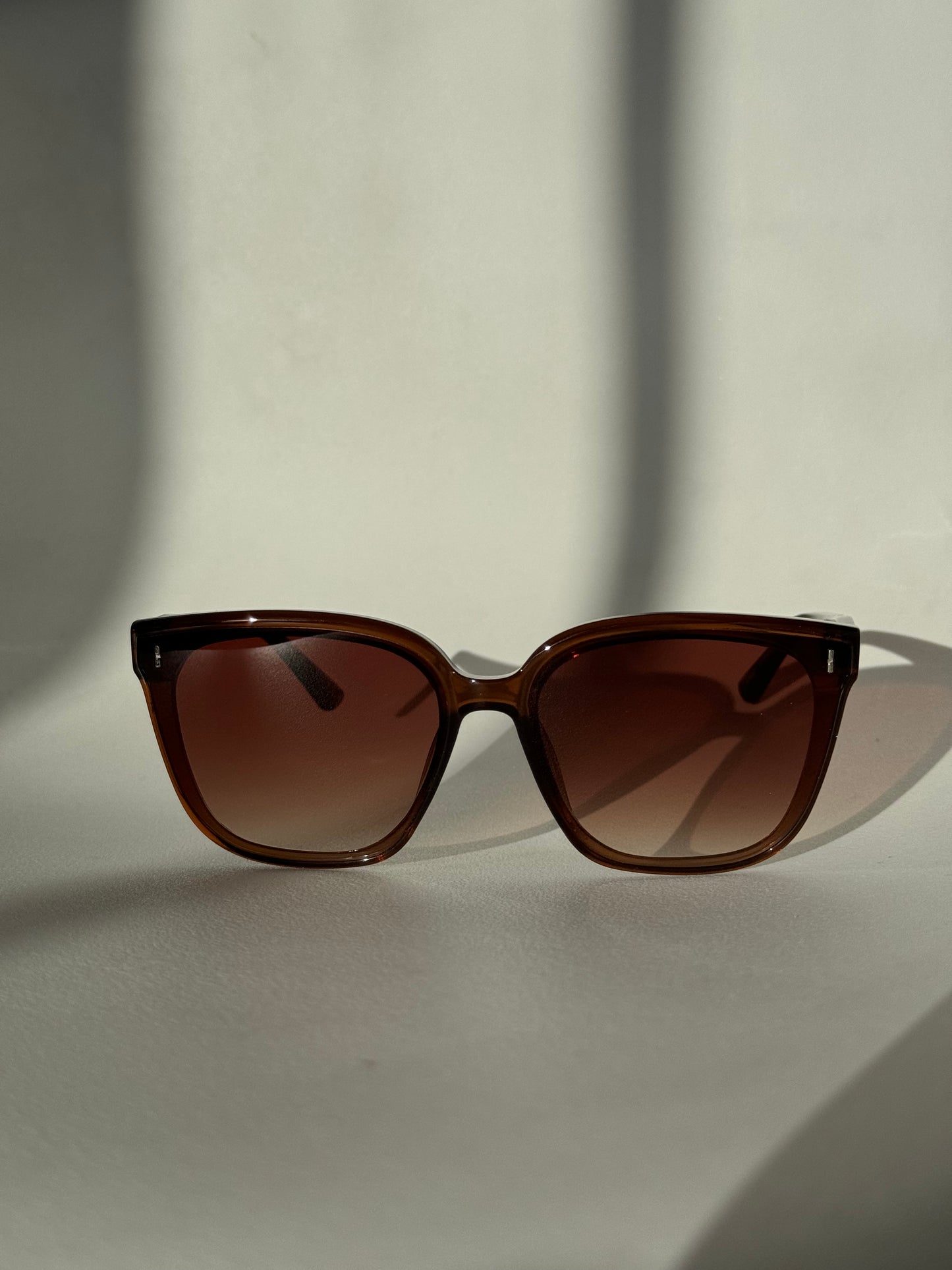 Barbell Sunglasses In Brown