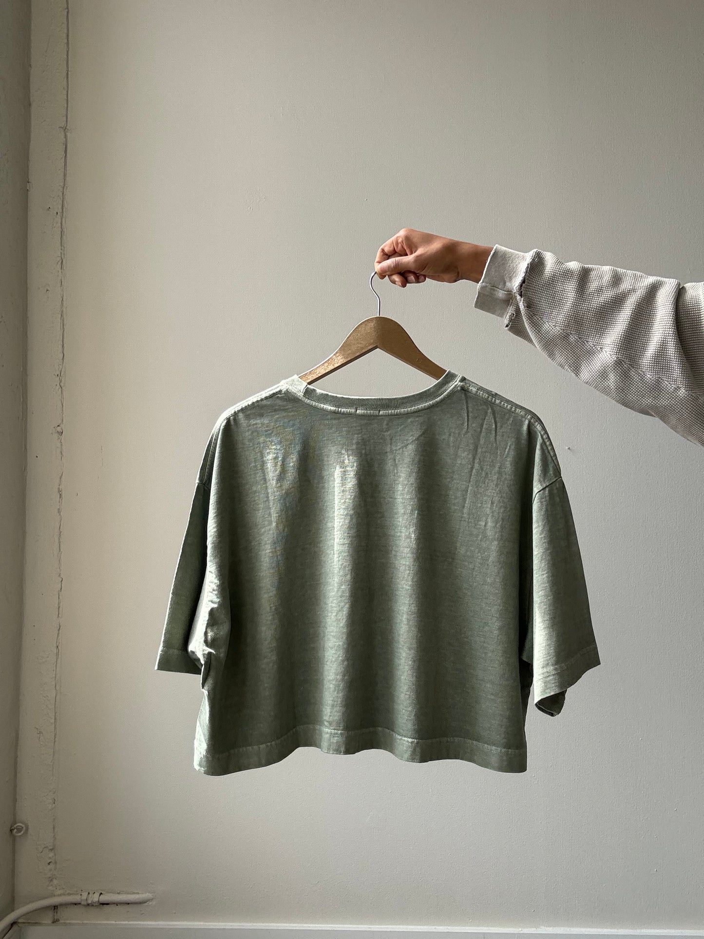 Billy Organic Cotton Cropped T Shirt In Sage