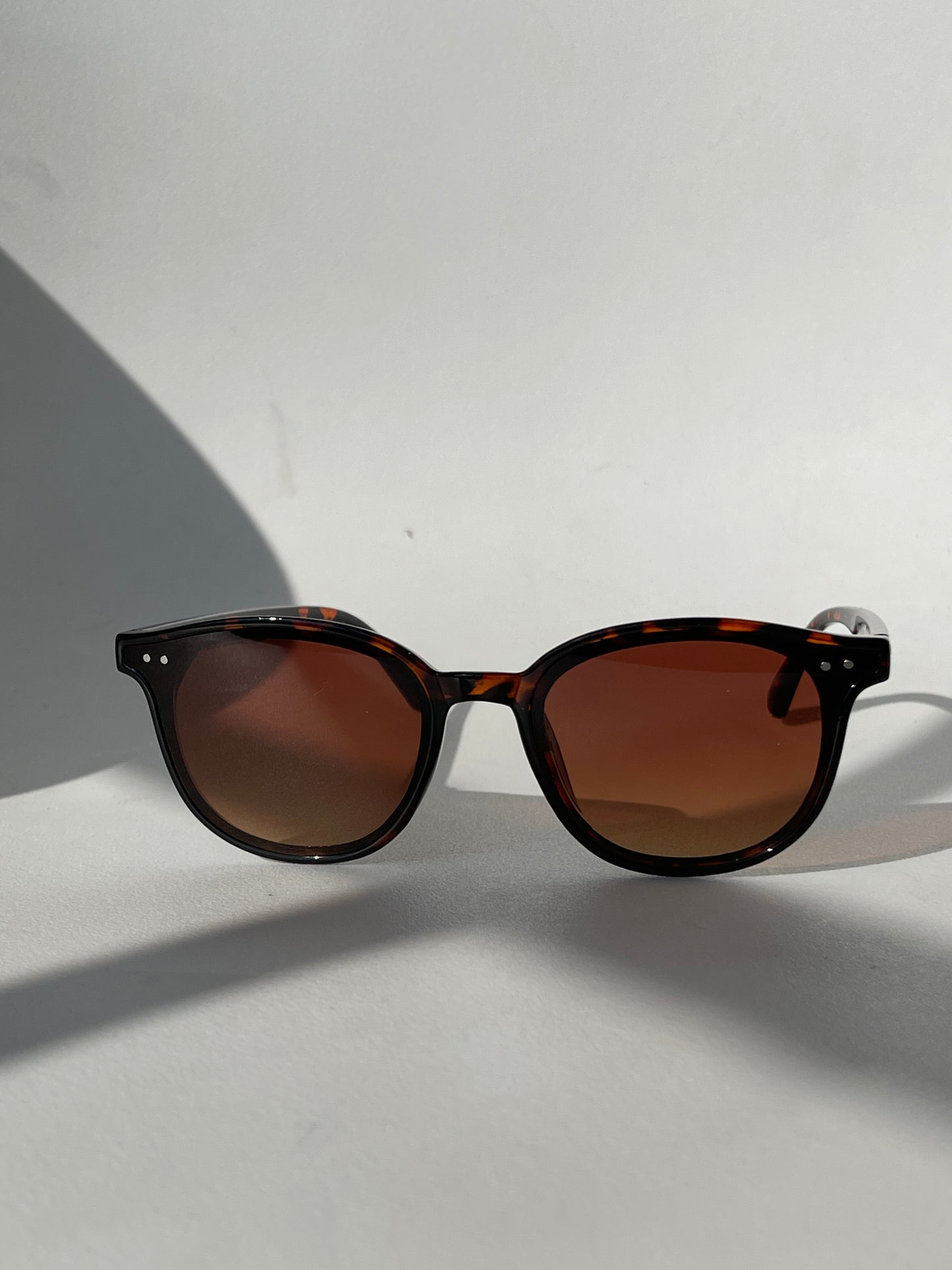 Abbey Classic 80s Style Double Stud Sunglasses In Tortoise