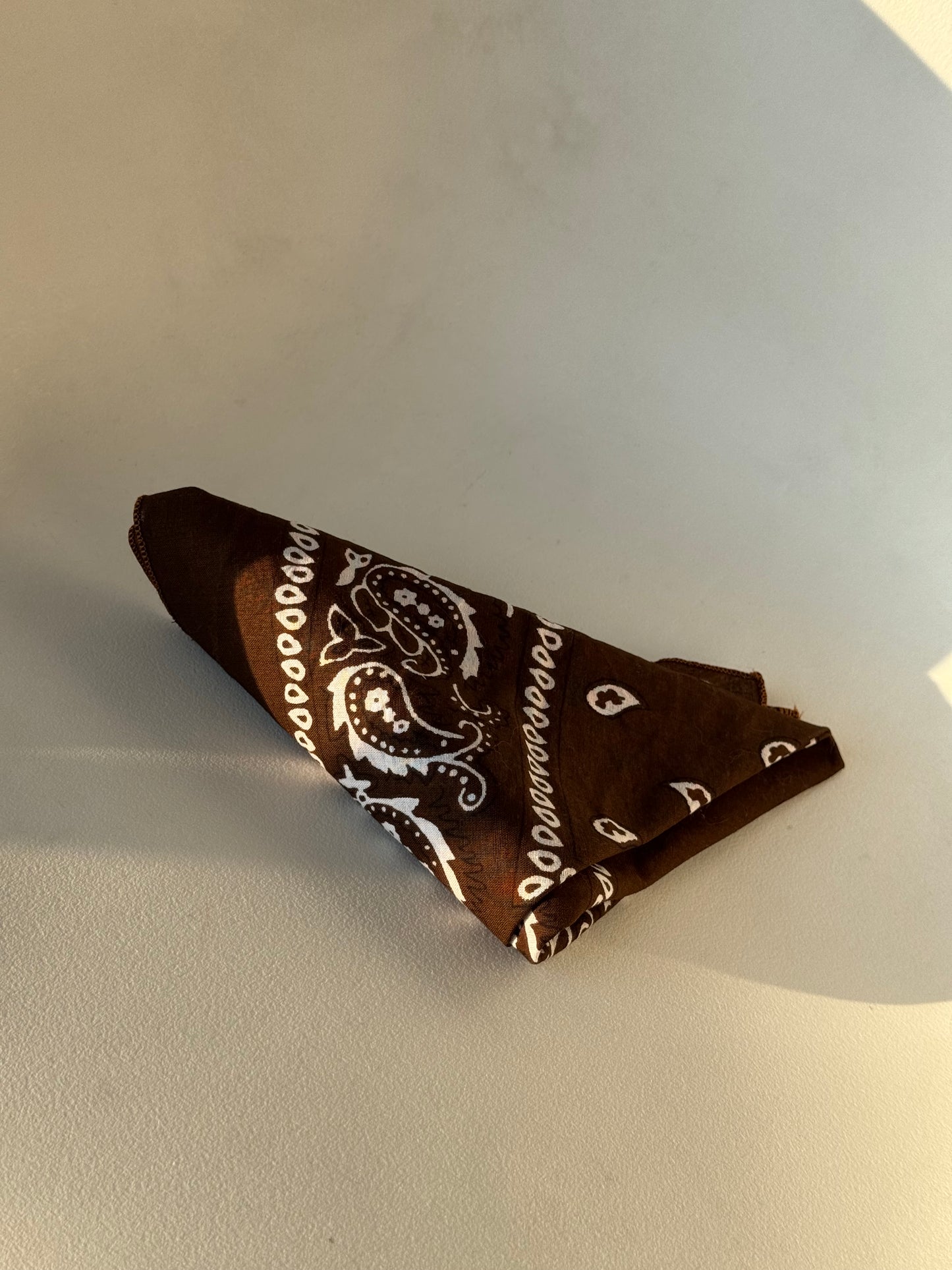 Garret Classic Cotton Bandana In Chocolate