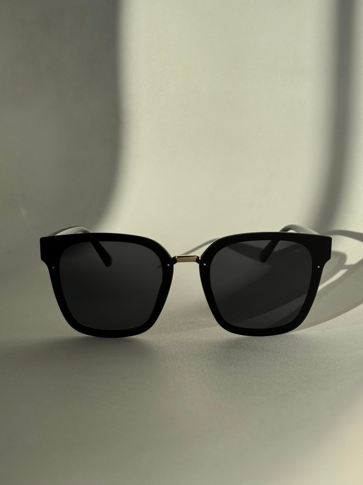 Kayla Sunglasses In Jet Black