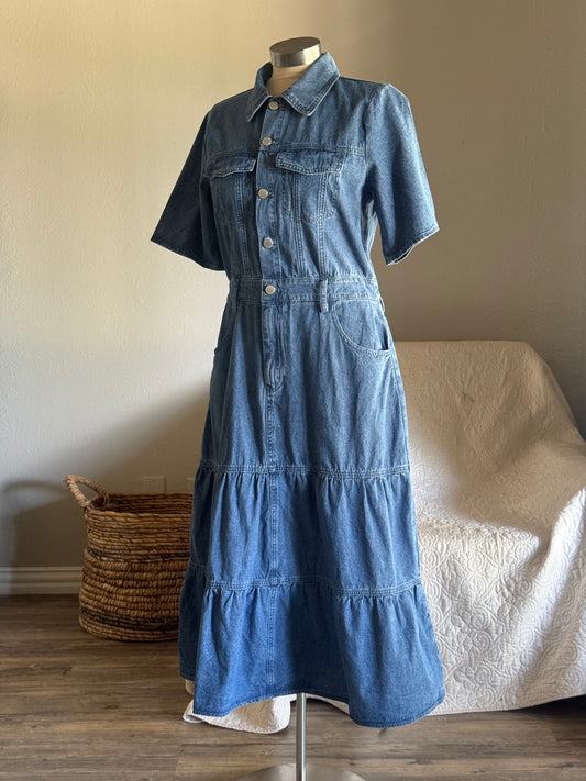 Phyllis Classic Button Front Denim Maxi Dress