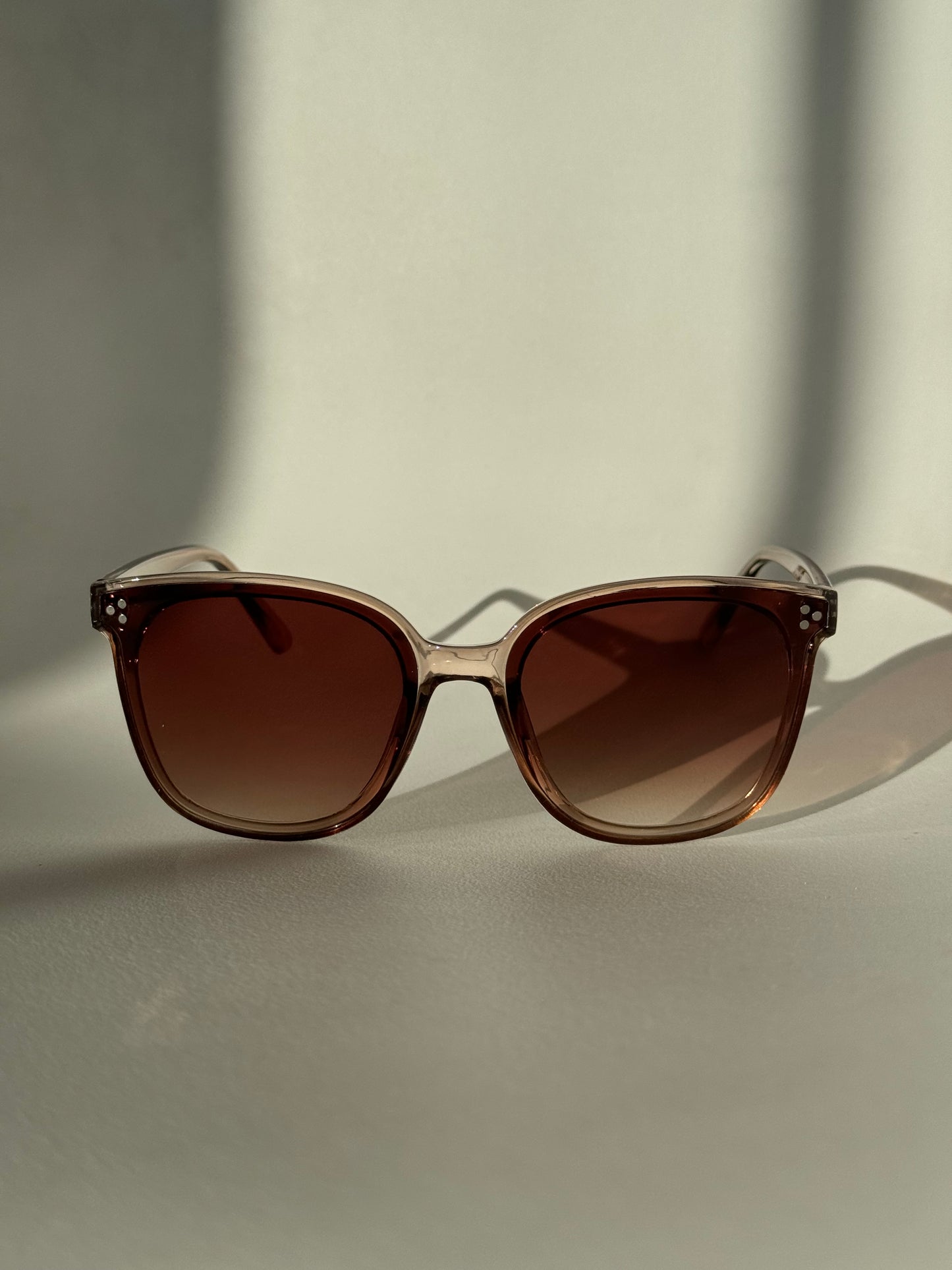 Dave Tri Stud Classic Sunglasses In Coffee