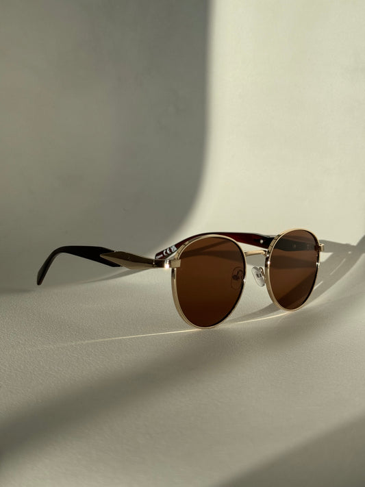 Davon Classic 80s Style Sunglasses In Brown