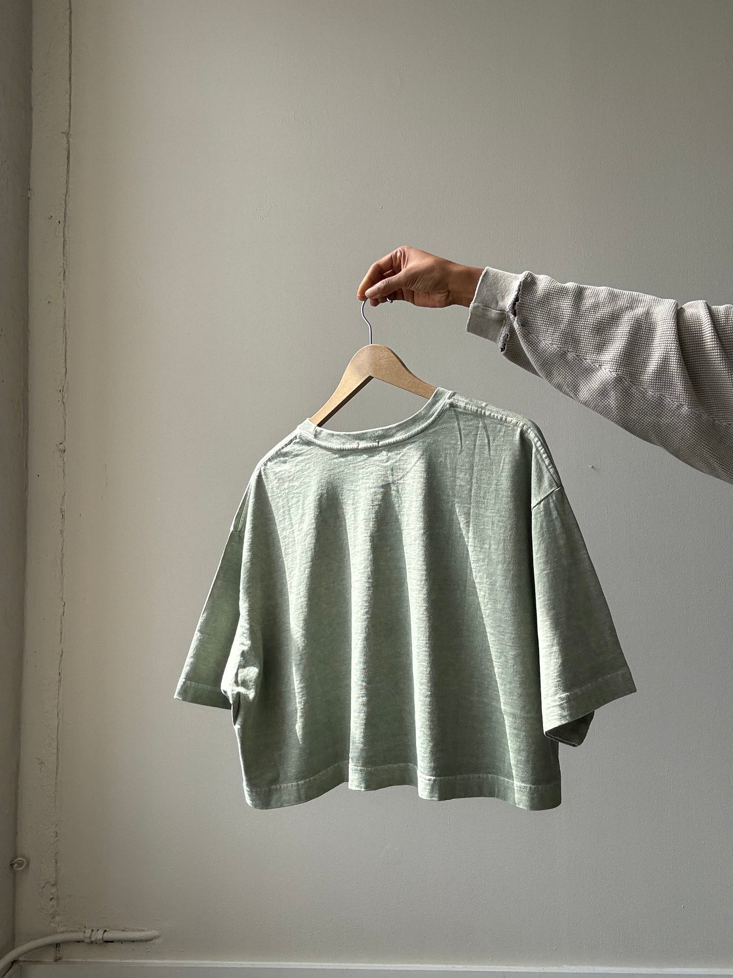 Billy Organic Cotton Cropped T Shirt In Sage