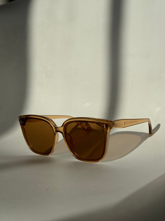 Barbell Stud Sunglasses In Tuape