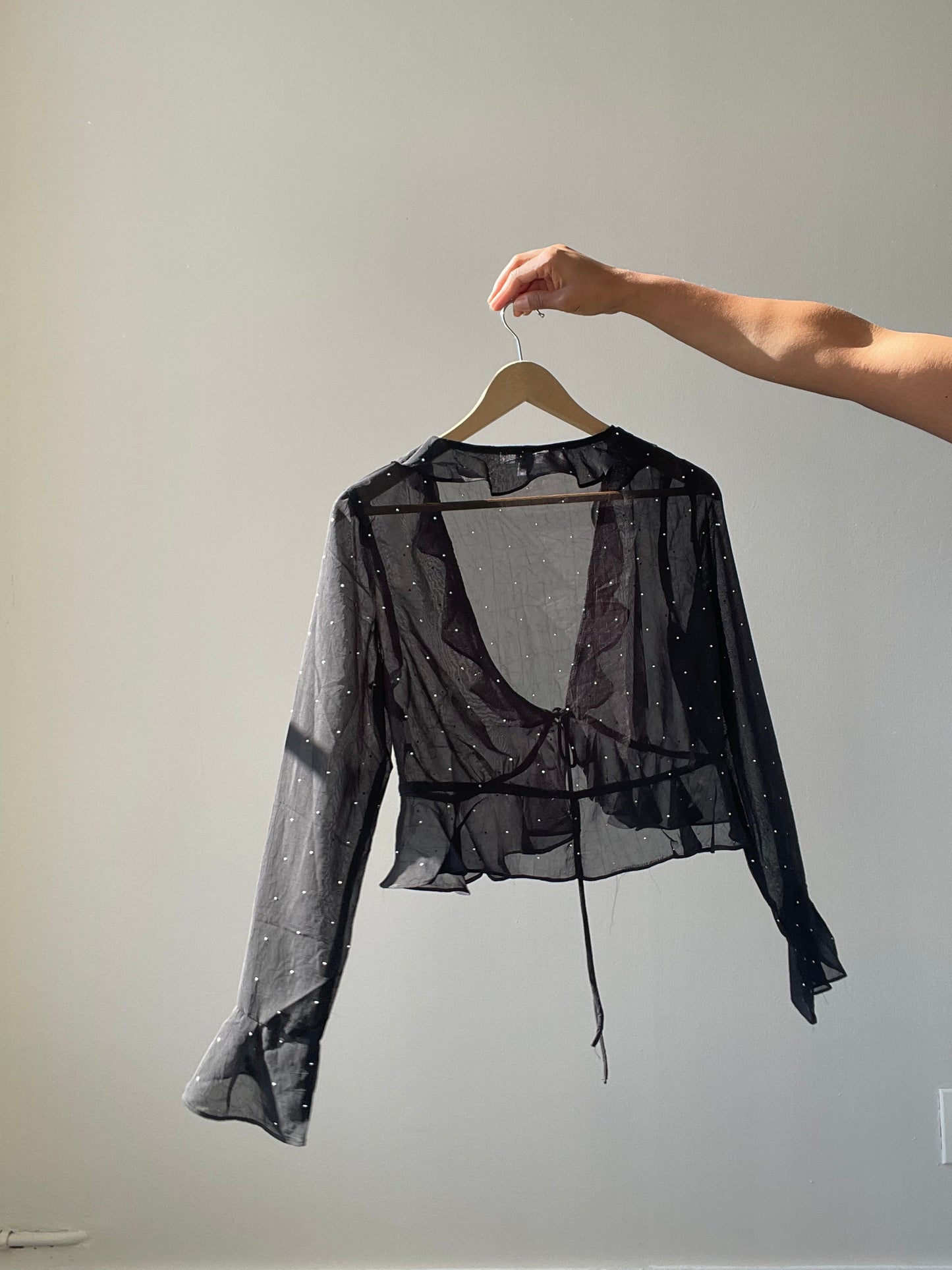 Haltom Lucky Stars Ruffle Sheer Crop Top In Black & Silver