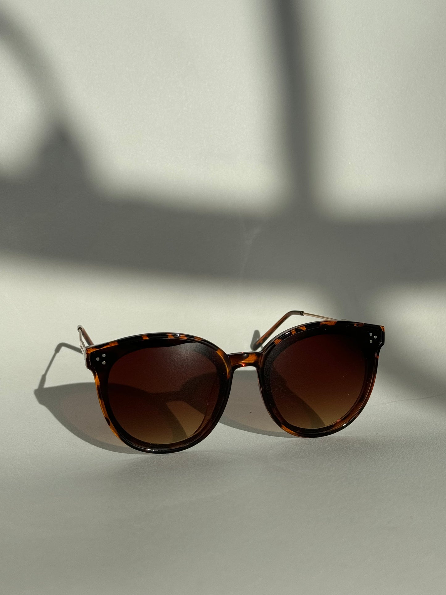 Priscilla Tri Sunglasses In Tortoise