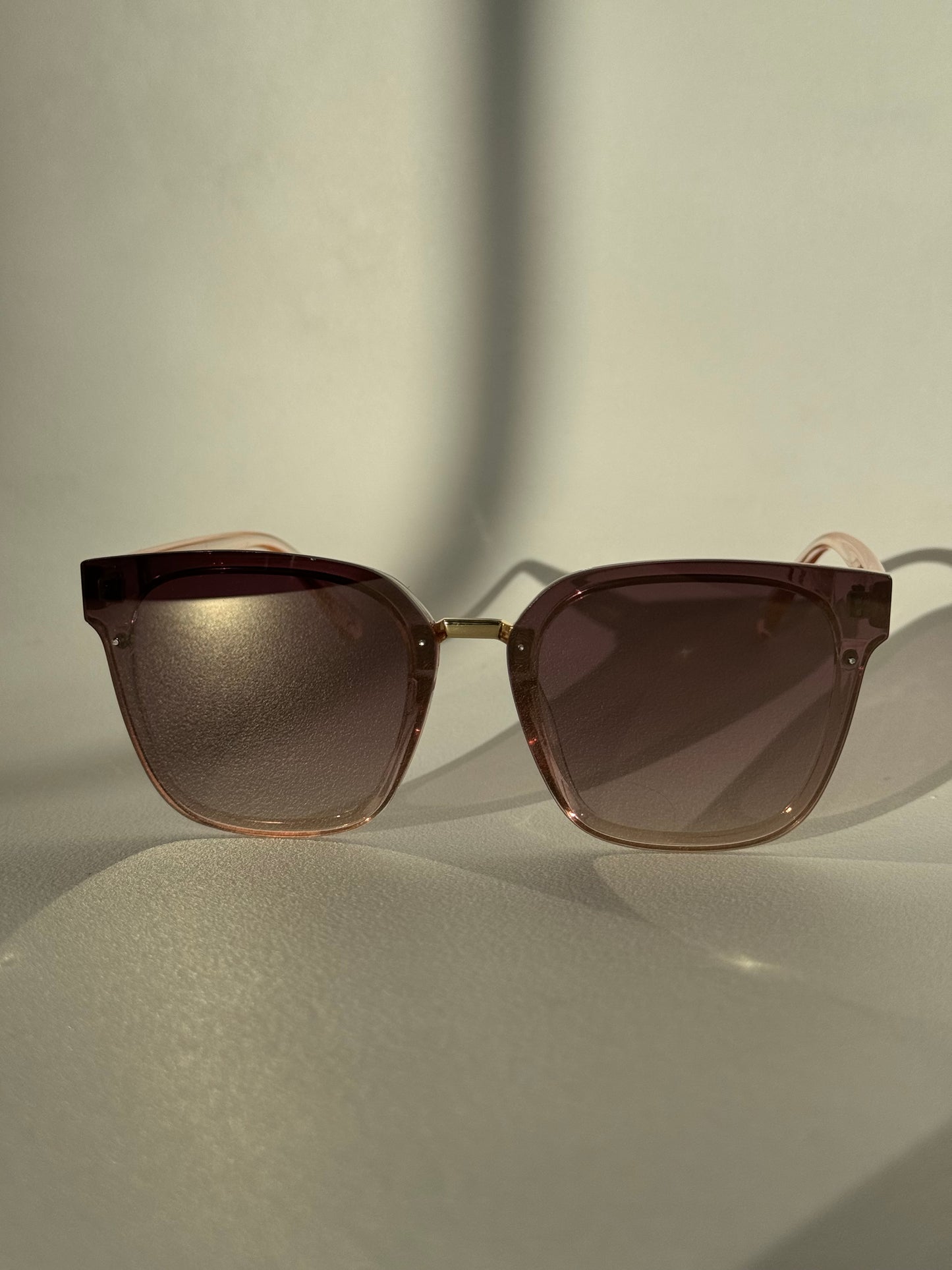 Kayla Sunglasses In Blush
