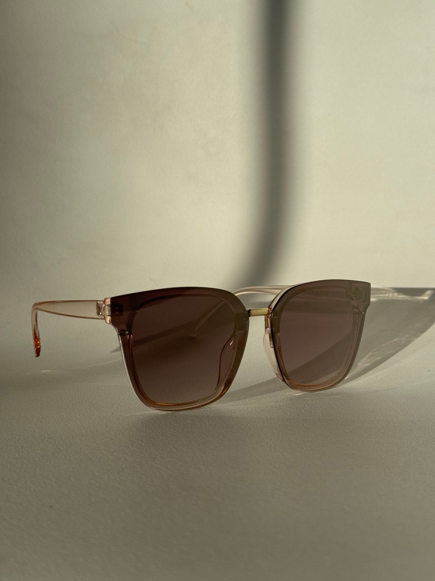 Kayla Sunglasses In Blush