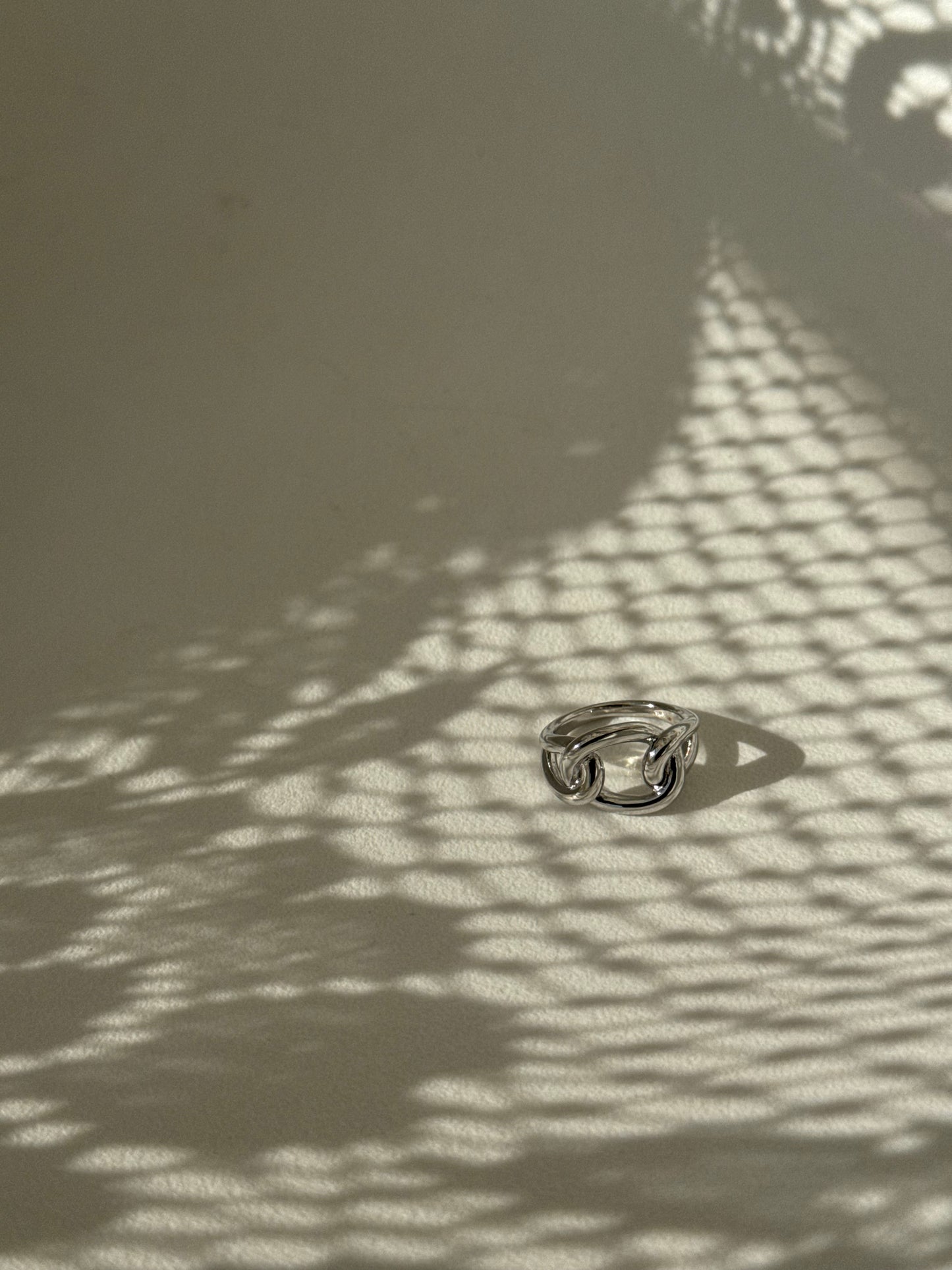 Paul Classic Single Link Ring In Silver