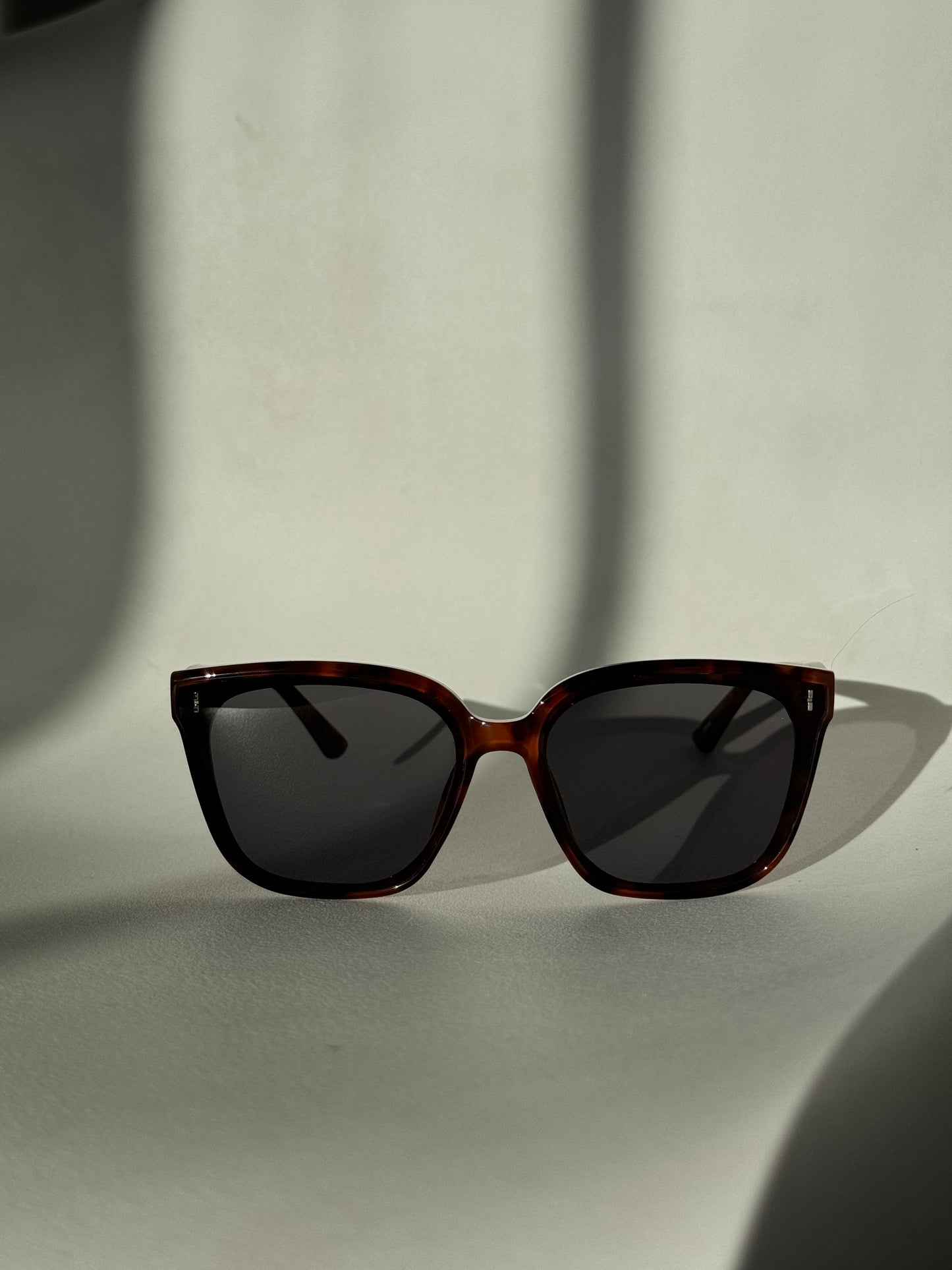 Barbell Stud Sunglasses In Tortoise