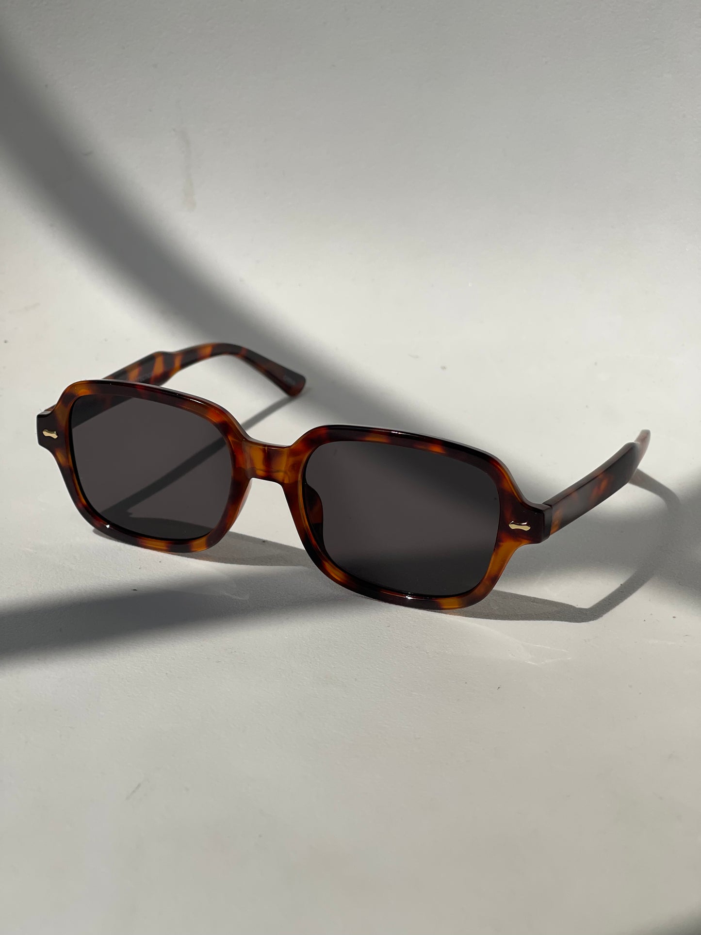 Rowan Gold Stud Sunglasses In Tortoise