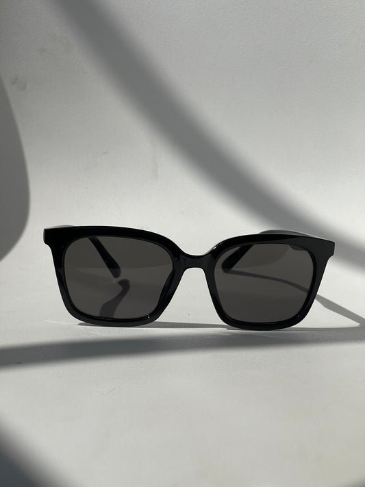 Fenya Classic Square Sunglasses In Black