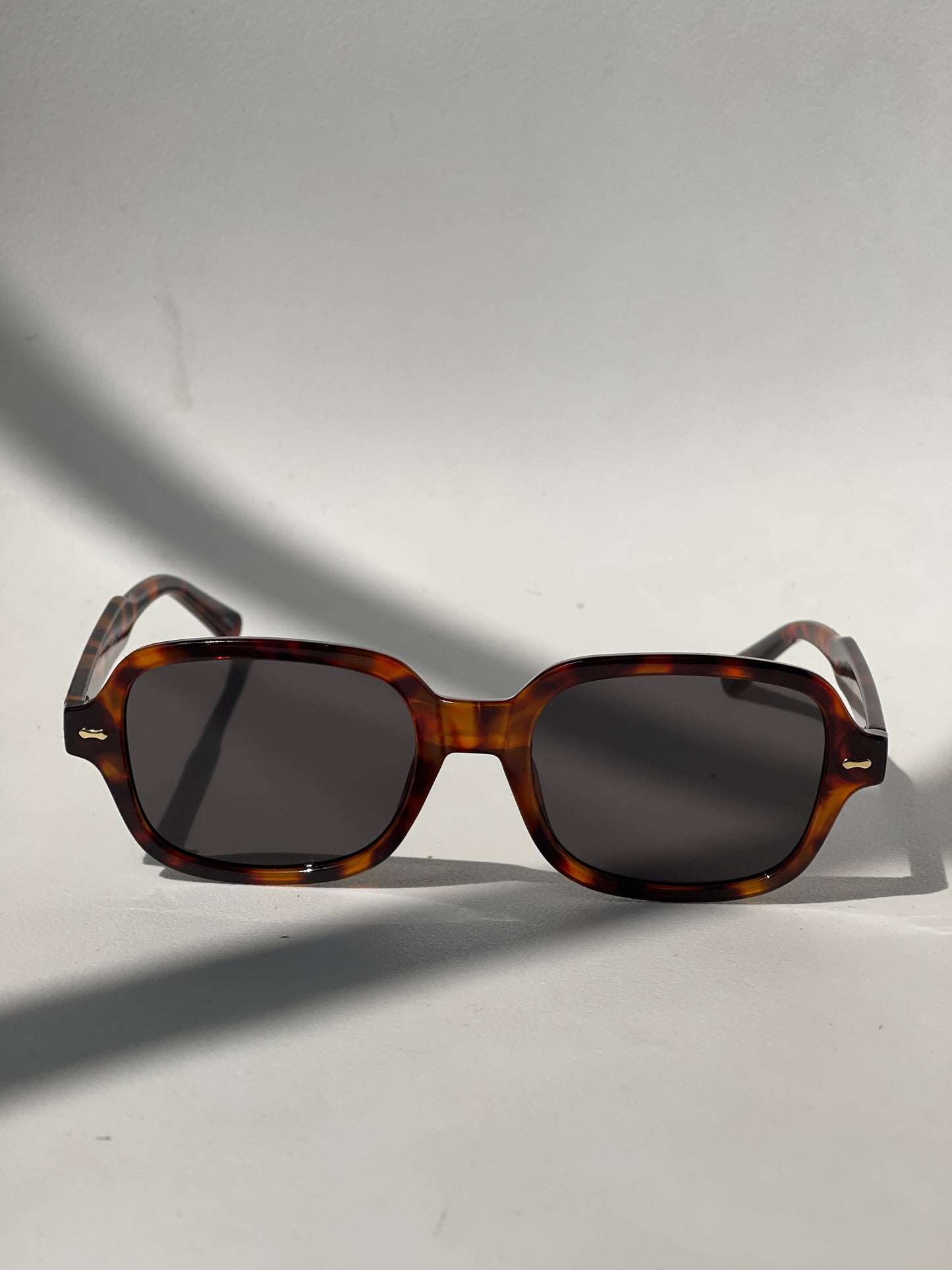Rowan Gold Stud Sunglasses In Tortoise