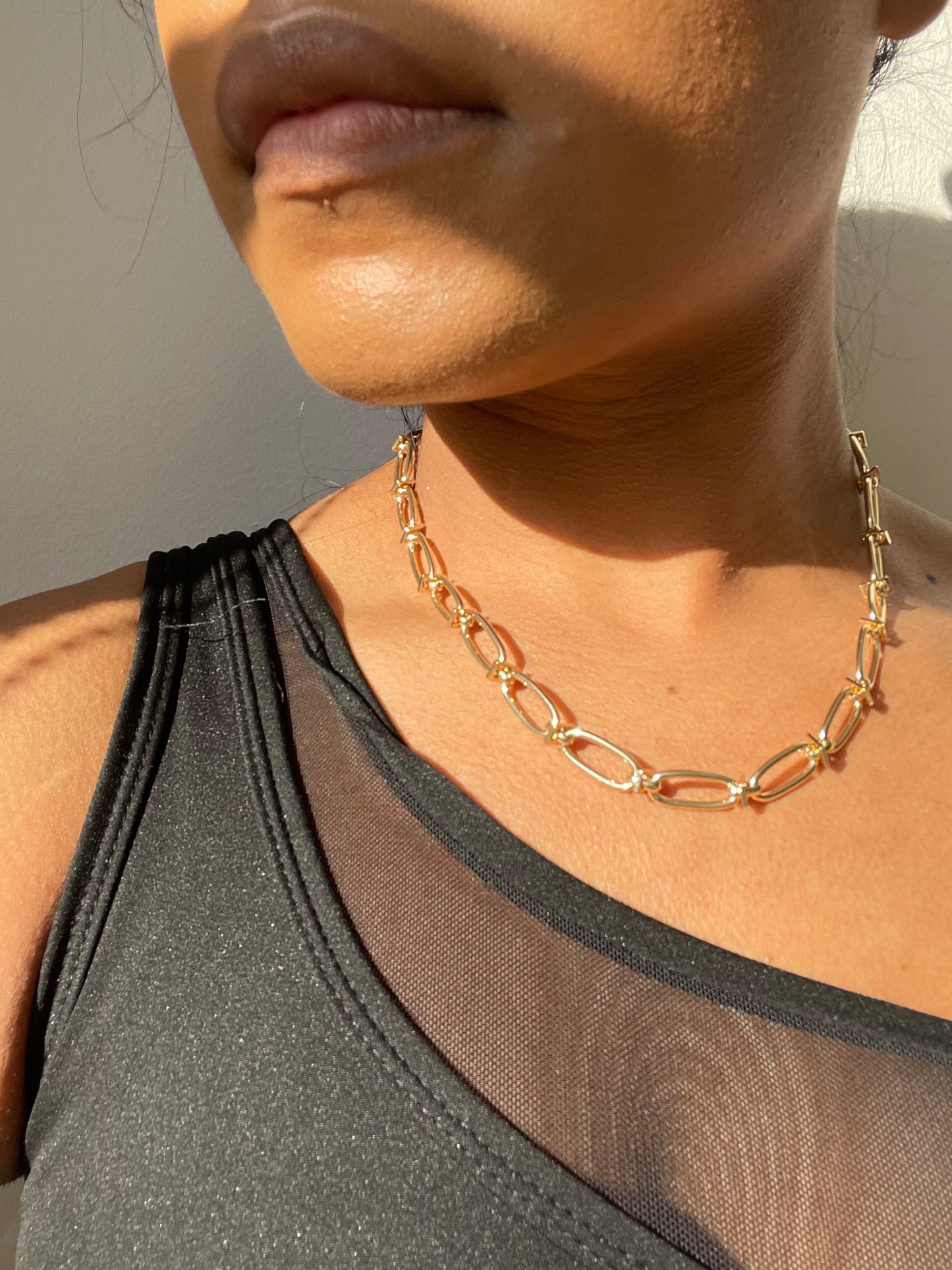 Frankie Oval Chain Link Necklace In Gold